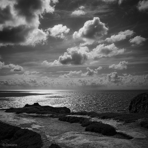 Ocean: photo FLAKES (Author: Ossiane)