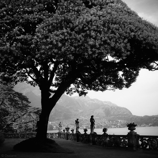 Photo ANGES GUARDIENS de la galerie EAUX DE BEAUTÉ (auteur Ossiane)