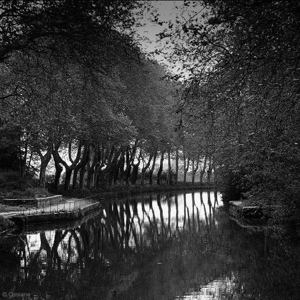 Photo BALLET from the WATERS OF BEAUTY gallery (Ossiane)