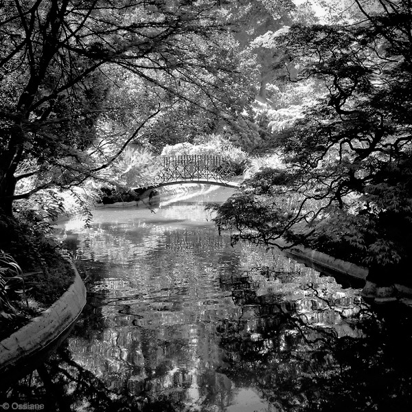 Waters of Beauty: photo POND (Author: Ossiane)