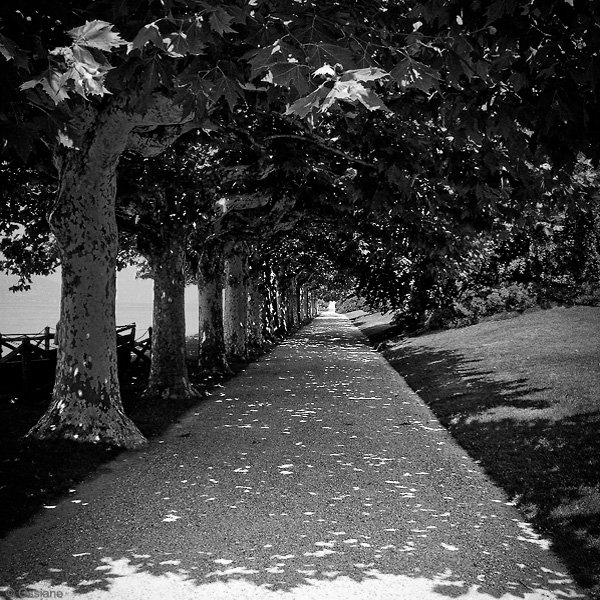 Photo ISSUE de la galerie EAUX DE BEAUTÉ (auteur Ossiane)