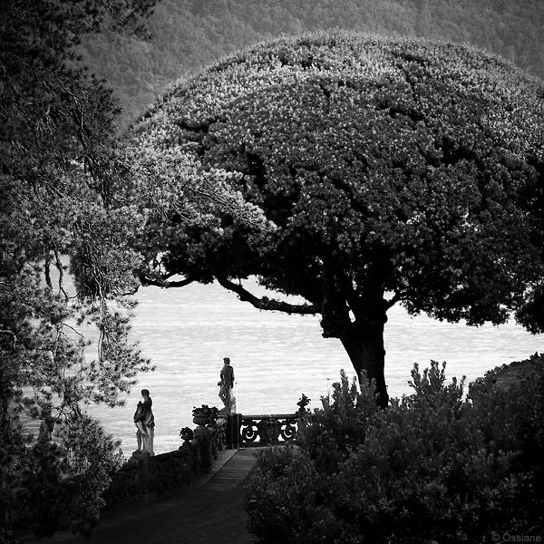 Waters of Beauty: photo STATUES (Author: Ossiane)