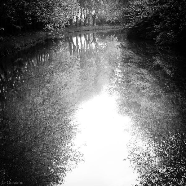 Photo TROUBLANT de la galerie EAUX DE BEAUTÉ (auteur Ossiane)