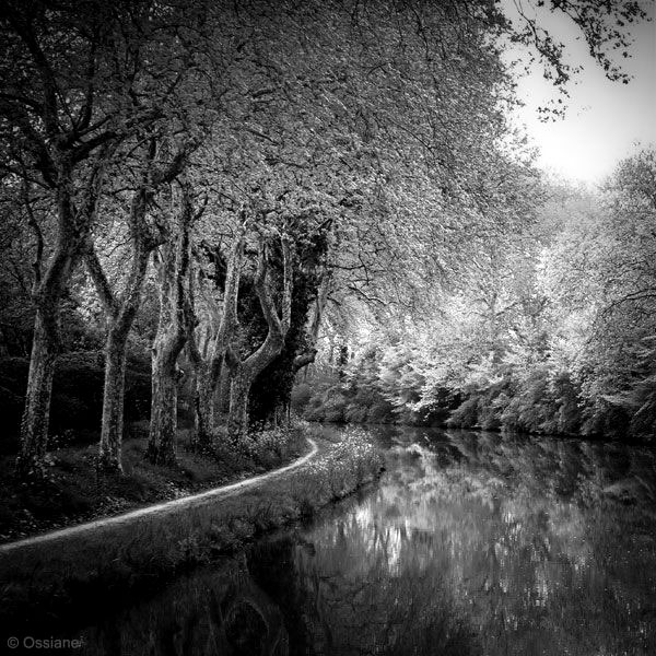 Photo VITAL de la galerie EAUX DE BEAUTÉ (auteur Ossiane)