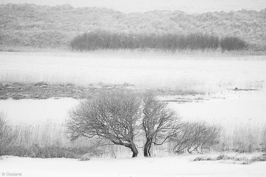 Photo DUO de la galerie NEIGE (auteur Ossiane)