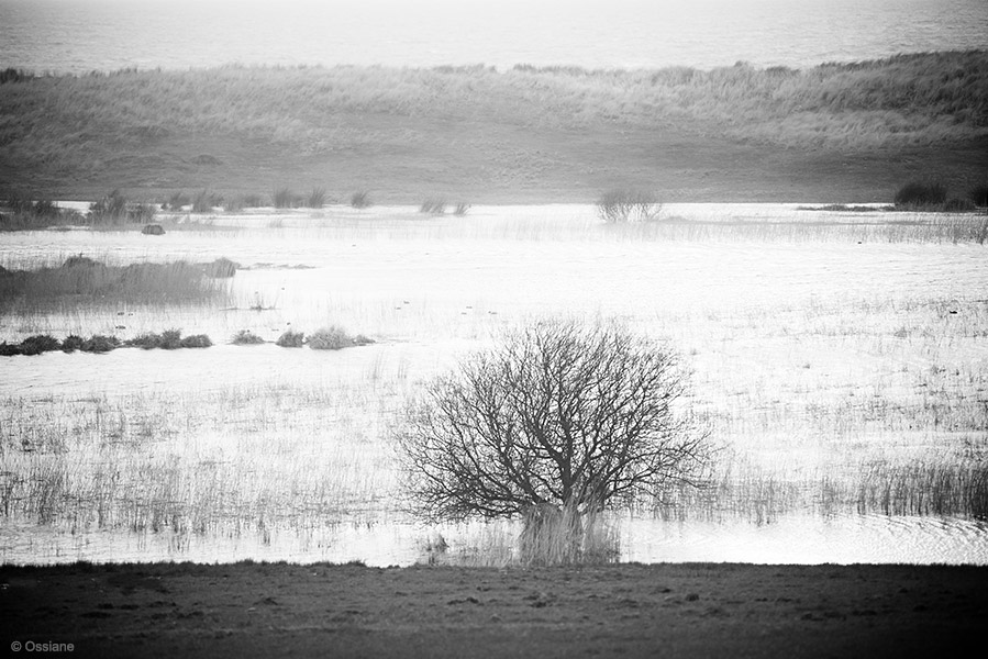 Snow: photo BATH (Author: Ossiane)