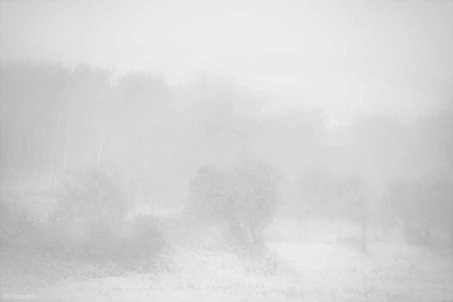 Snow: photo MISTY (Author: Ossiane)