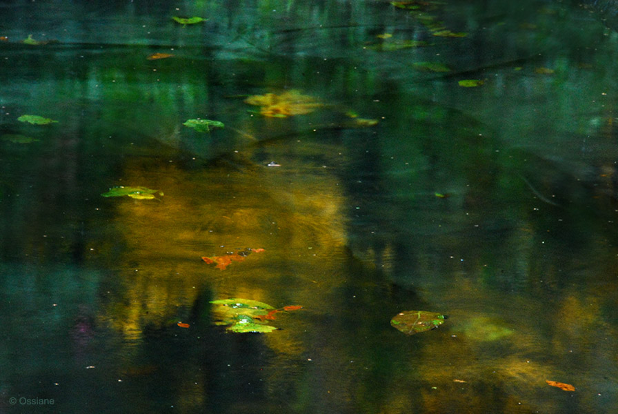 Photo SILENCE de la galerie TOILES DE NUIT (auteur Ossiane)