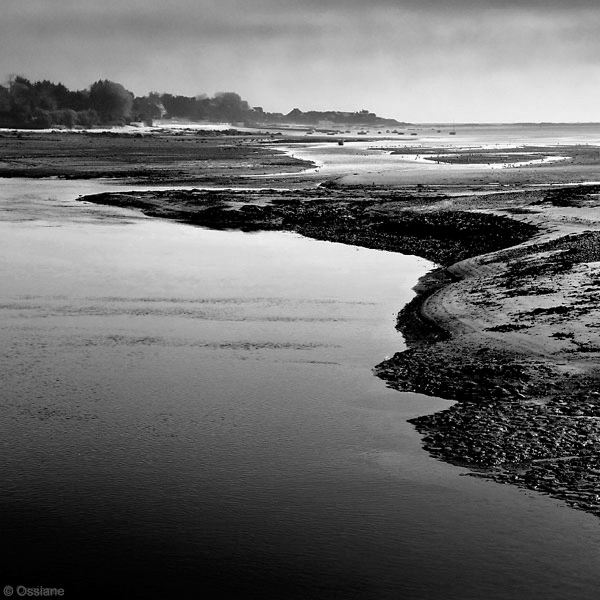 Ocean: photo ESTUARY (Author: Ossiane)