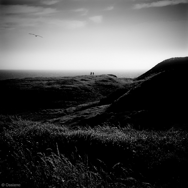 Photo MOOR from the OCEAN gallery (Ossiane)