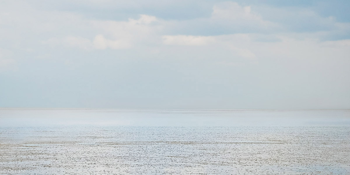Ossiane photographie