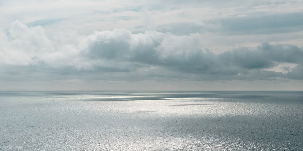 Ossiane photographie