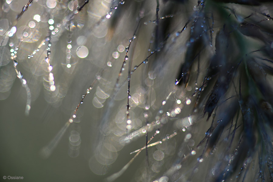 Photo WATERFALL from the WATER OF LIFE gallery (Ossiane)